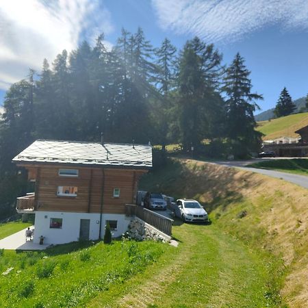 Chalet Matterhornsicht Naters Exterior photo